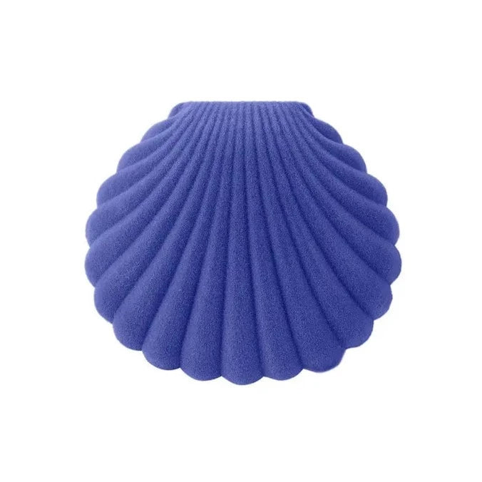 Shell - Schmuckschachtel in diversen Farben