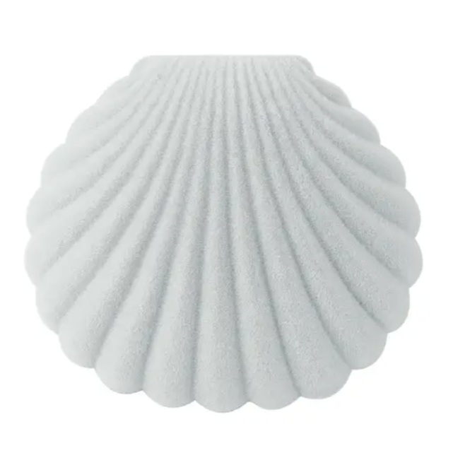 Shell - Schmuckschachtel in diversen Farben