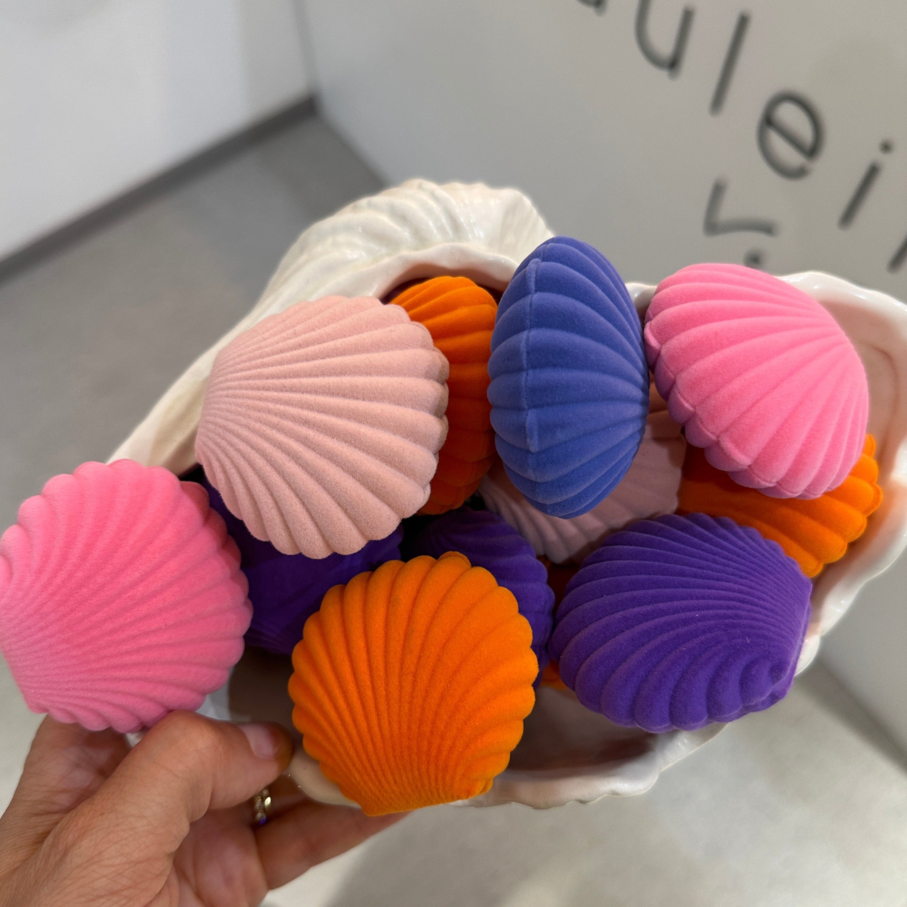Shell - Schmuckschachtel in diversen Farben