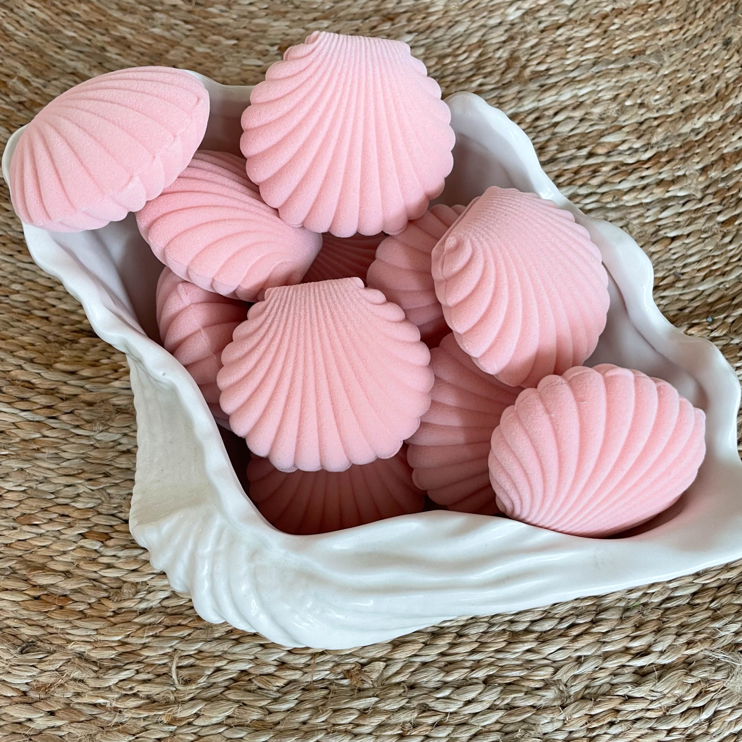 Shell - Schmuckschachtel in diversen Farben
